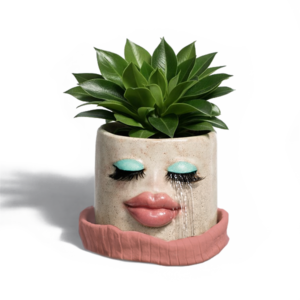 nutuniina nuttev lillepott tootepilt ilma taustata